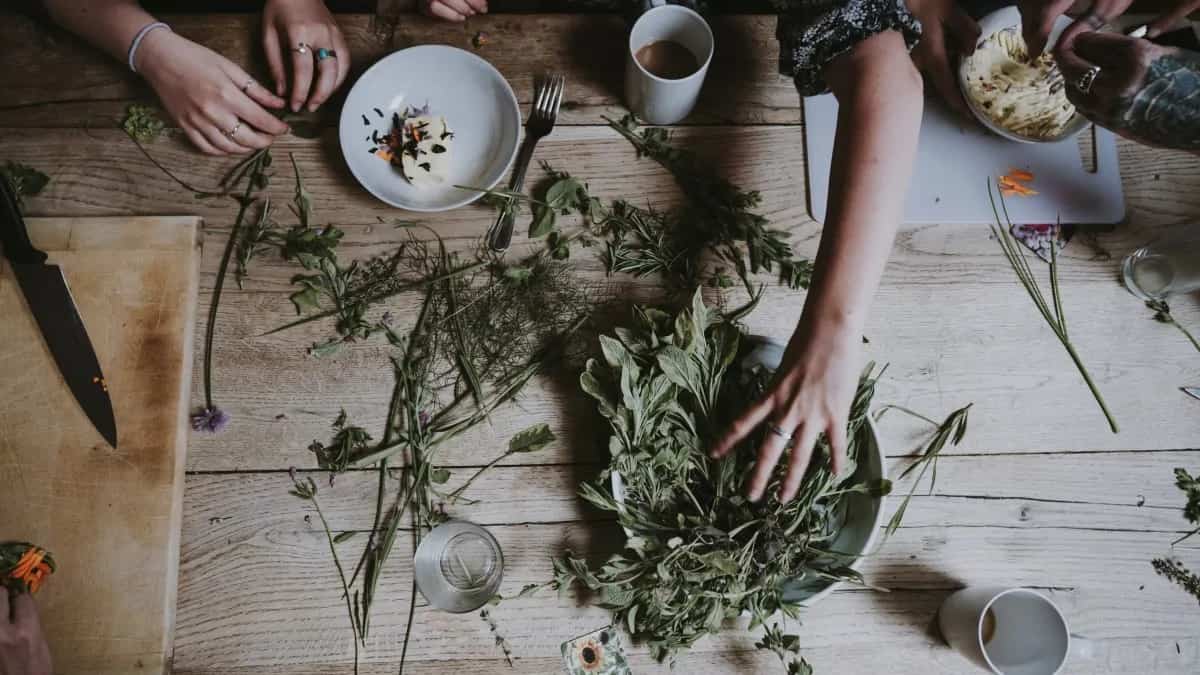 5 Common Herbs You Can Grow In Your Kitchen Garden