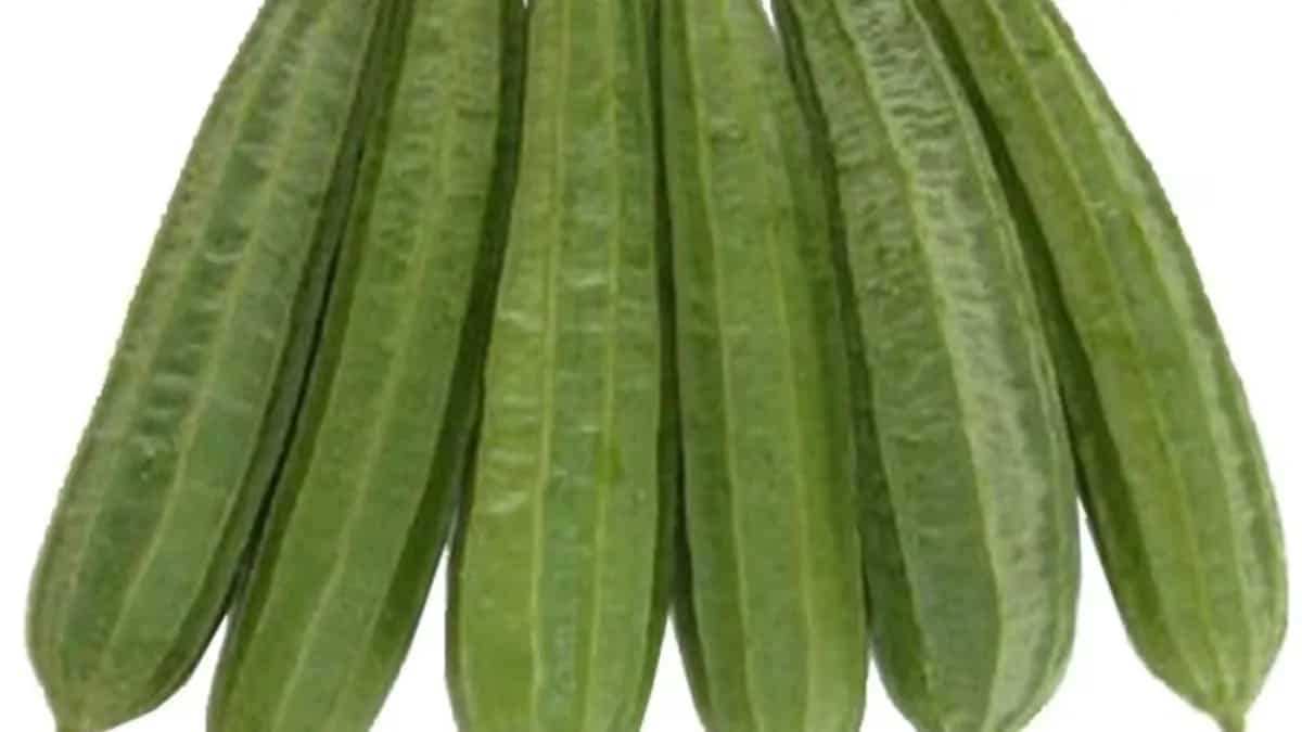 Turai Chutney To Stir-Fry: 5 Reasons To Add Ridge Gourd To Your Diet