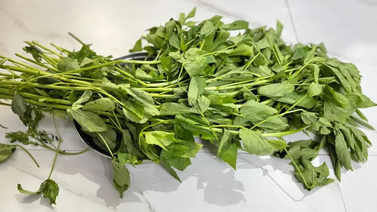 Ambadi: The Tangy Green That Defines Indian Monsoon Meals