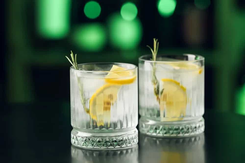 International Gin and Tonic Day 2023 Gin and Tonic Explained