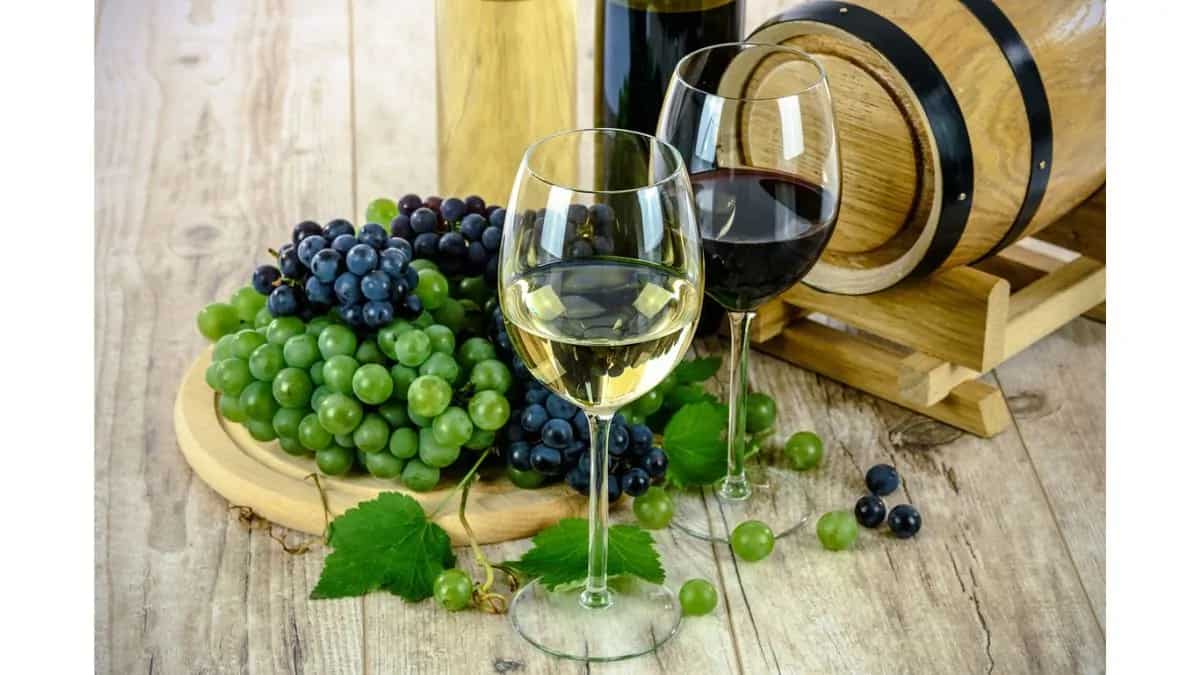 Wine Pairing 101 How To Select the Perfect one for Your Meal