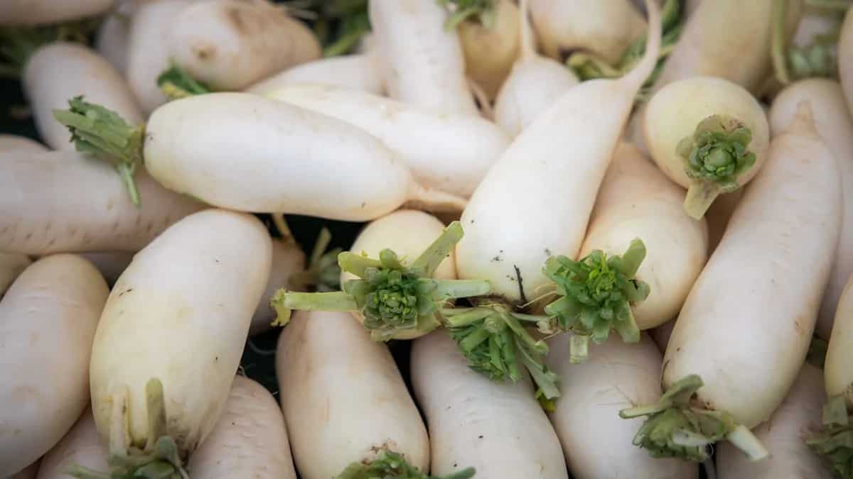 Health Benefits Of Mooli 7 Reasons To Add Radish To Your Daily Diet