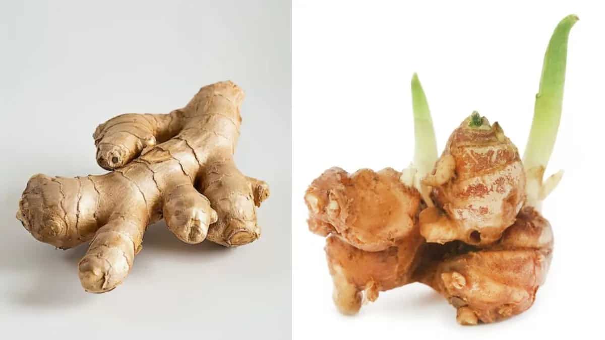 Ginger Vs Galangal: Ultimate Guide To Origin, Taste, And More