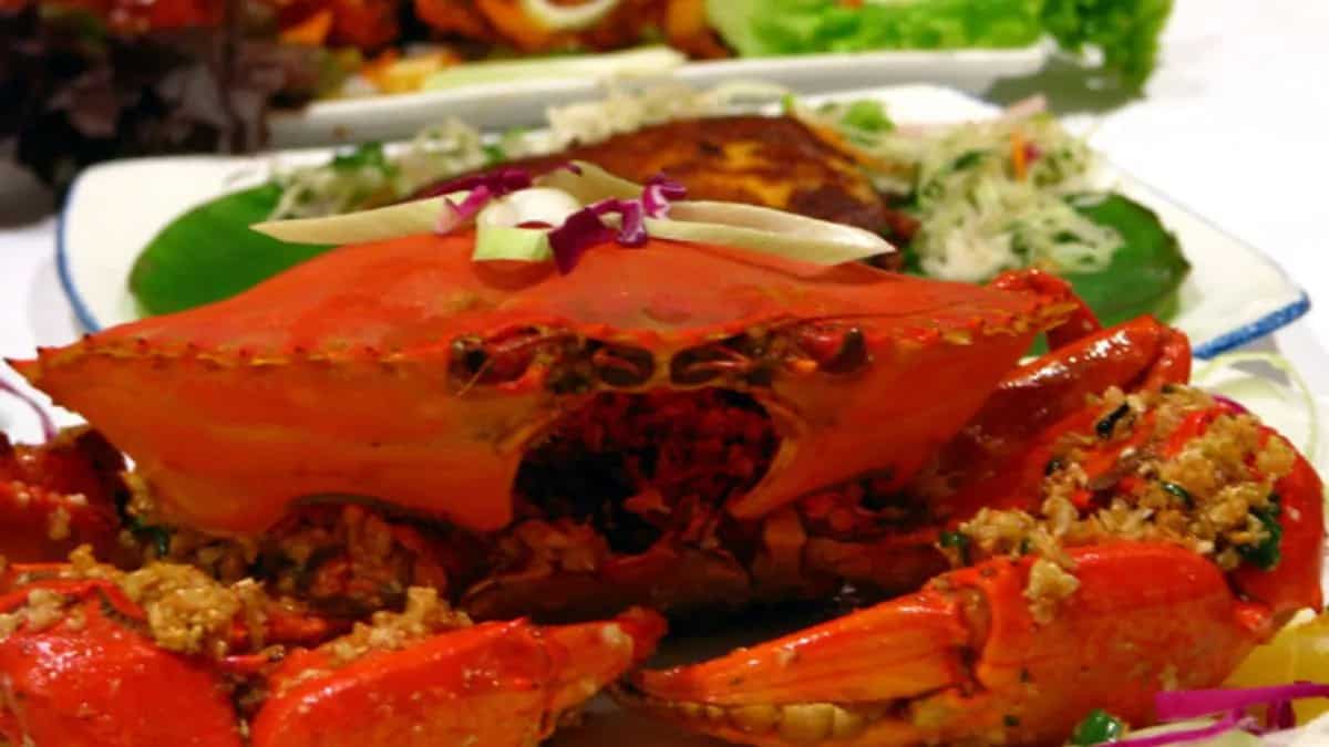 Latest and Breaking News on NDTV Latest and Breaking News on NDTV