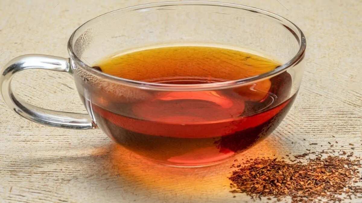 Rooibos Green Tea Side Effects Store Online boys.velvet.jp