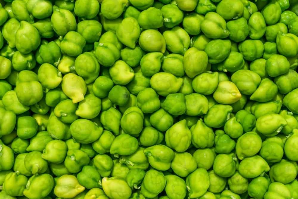 चना कच्चा (छोलिया)