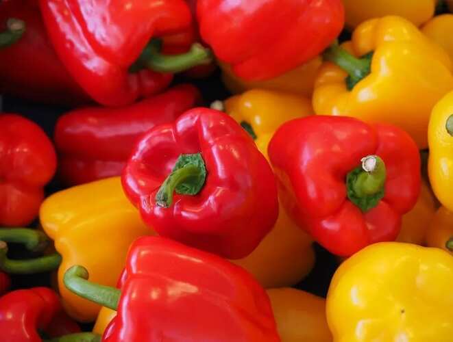 Red Bell Pepper Health Benefits & Nutrition