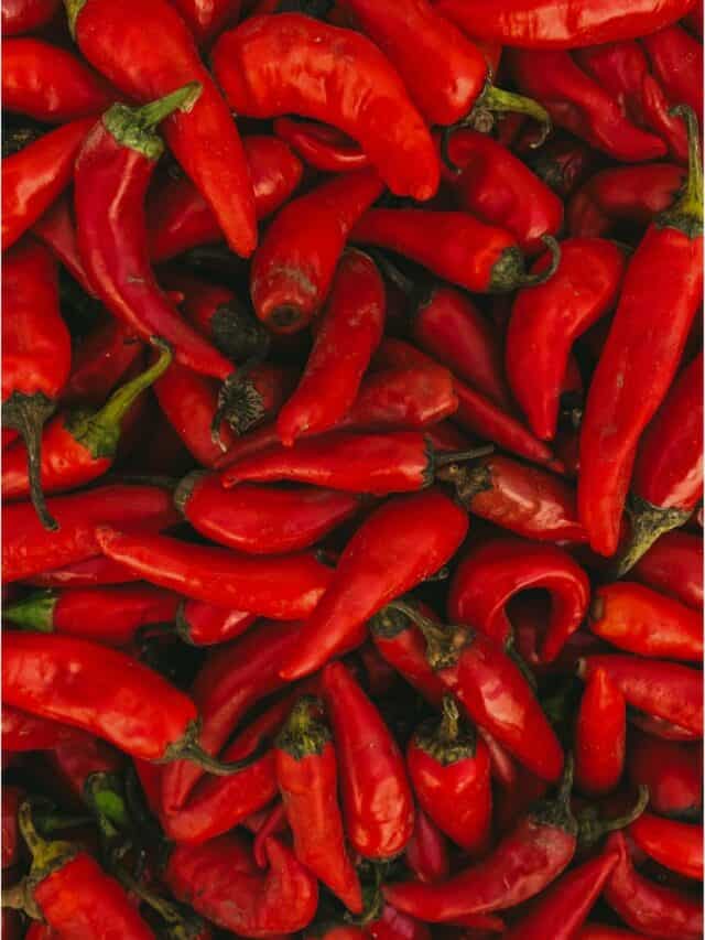 Hottest Chili Peppers In The World