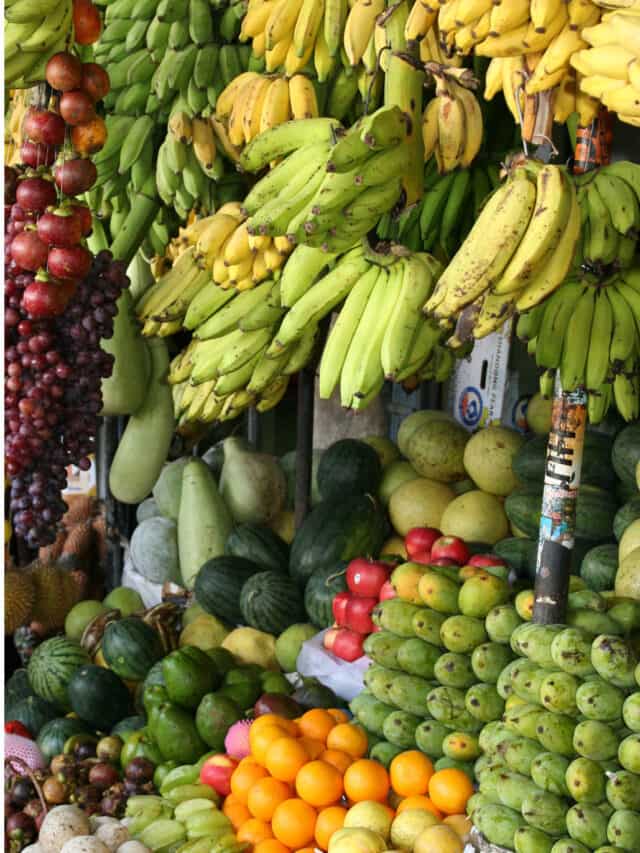 5 Easy To Incorporate Fibre Rich Foods