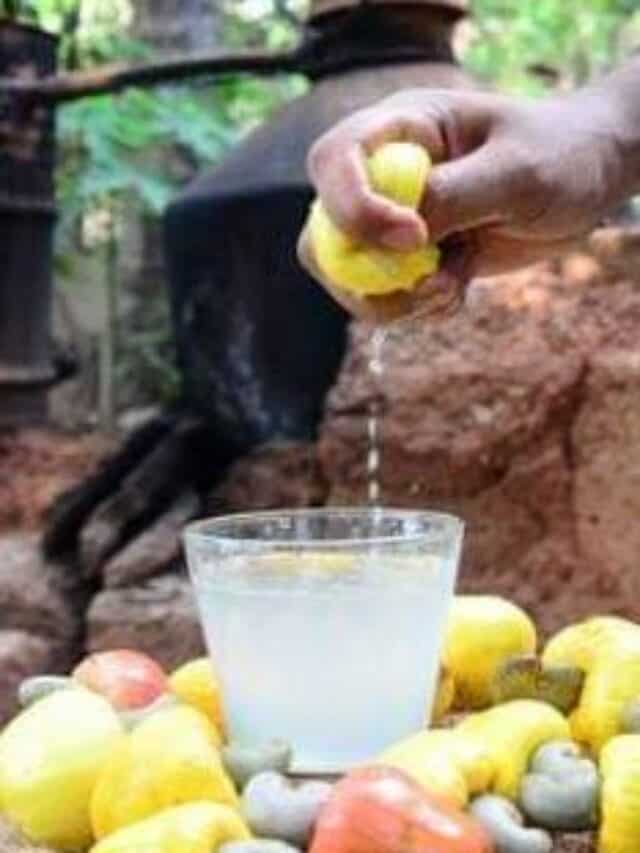 10 INDIGENOUS LOCAL ALCOHOL OF INDIA