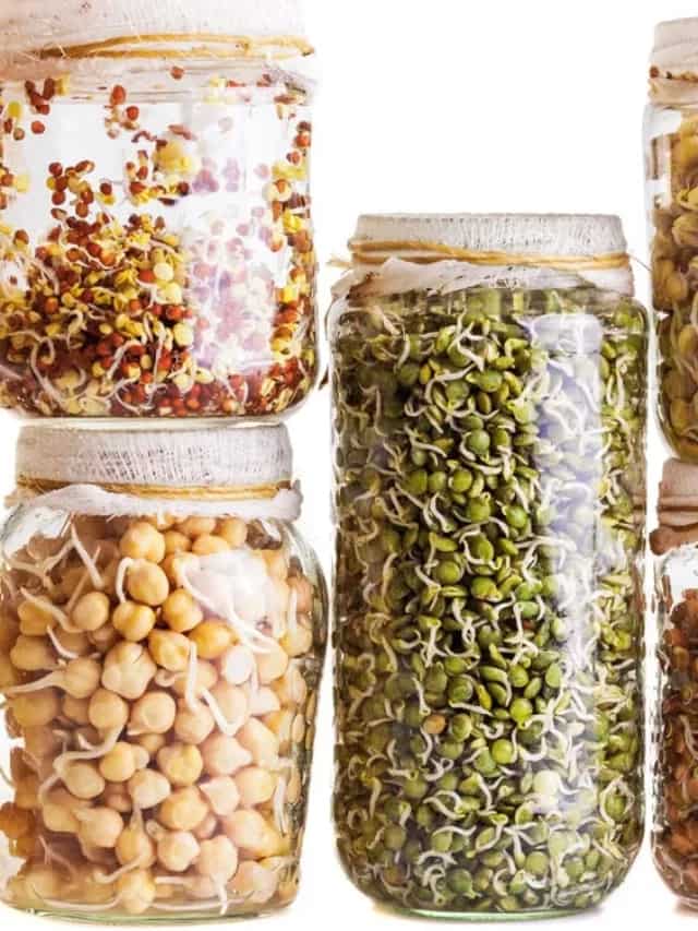 4 Fulfilling Yet Easy To Make Sprouts Recipes