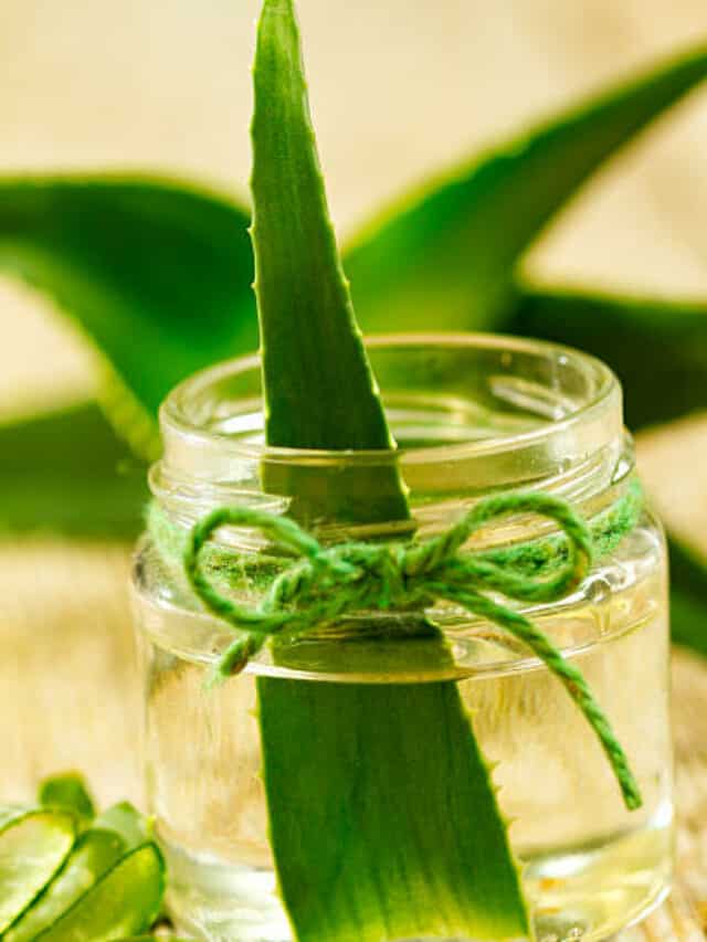 Heal Your Gut With These Magical Herbs