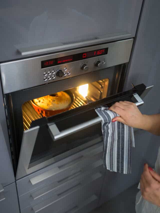 OTG Or Convection, Which Oven's Right For You?