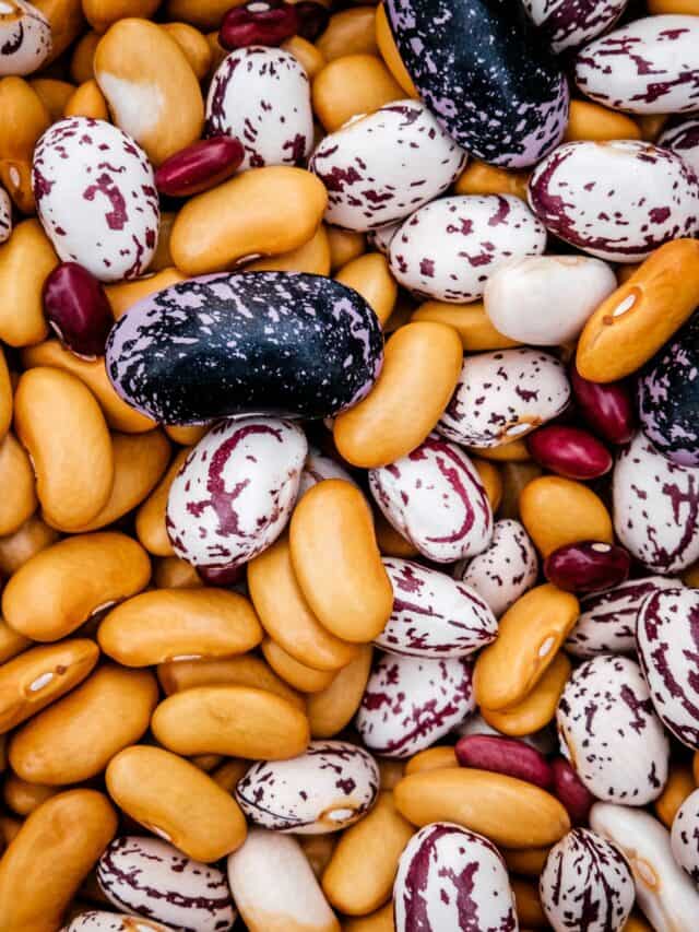 Include These 5 Types Of Beans In Your Daily Diet