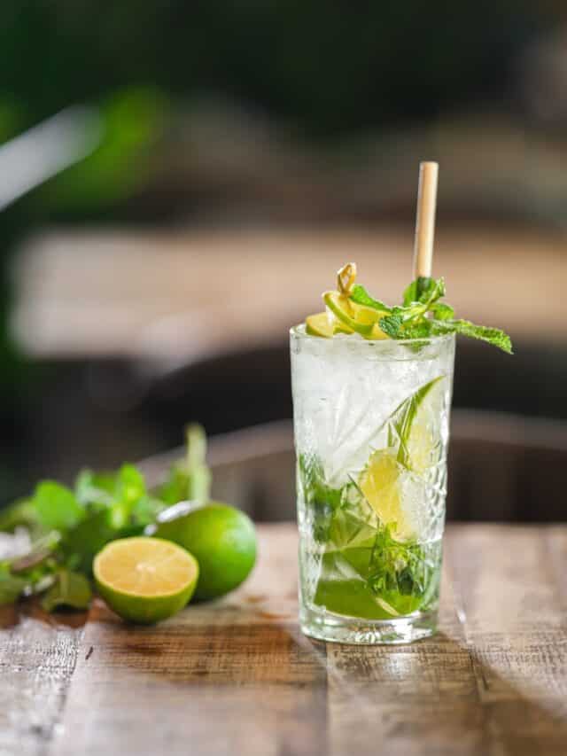 Cooling Gin And Mint Cocktail For The Summer