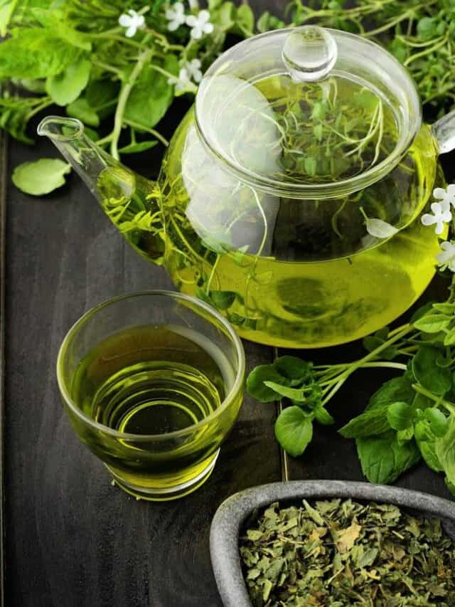 10 Types Of Green Teas For You To Try