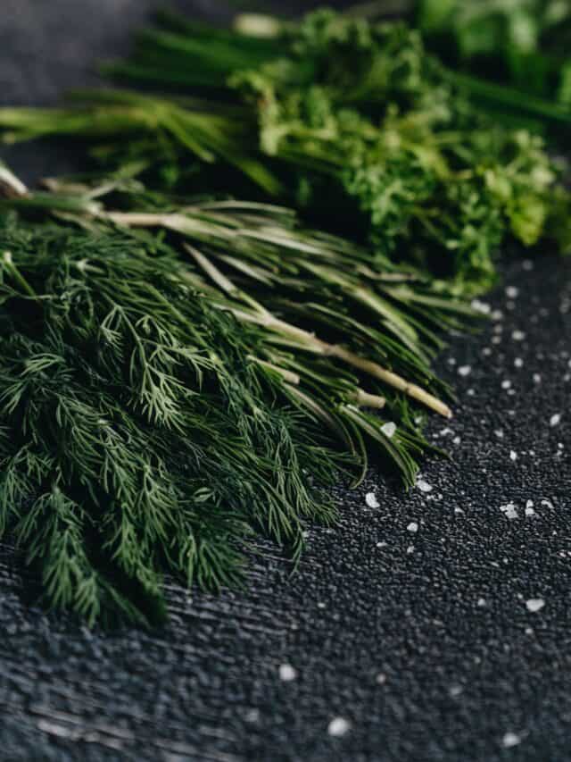 10 Popular Herbs Used In Cooking