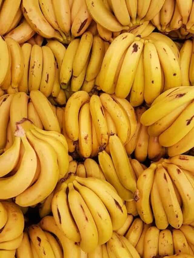 9 Dishes To Make With Bananas