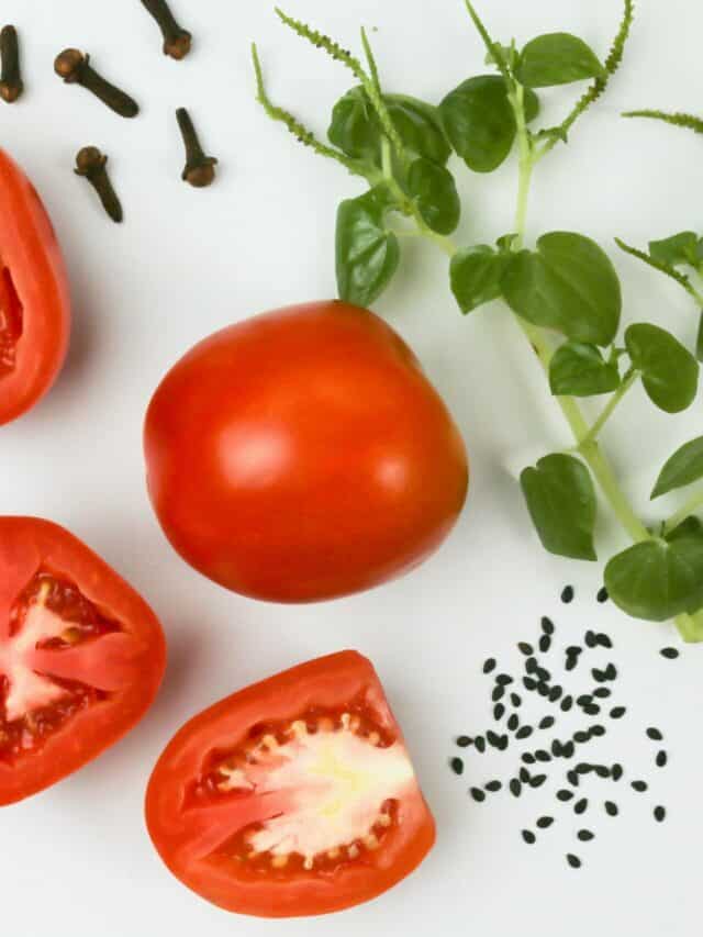 Rasam To Salad 10 Tomato Recipes You Should Try