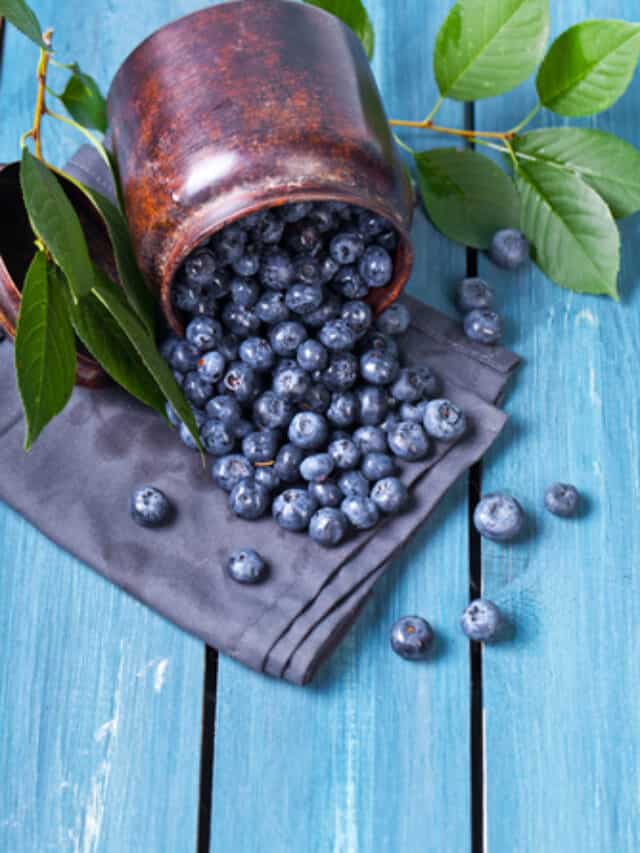 5 Reasons To Add Blueberries In Your Diet