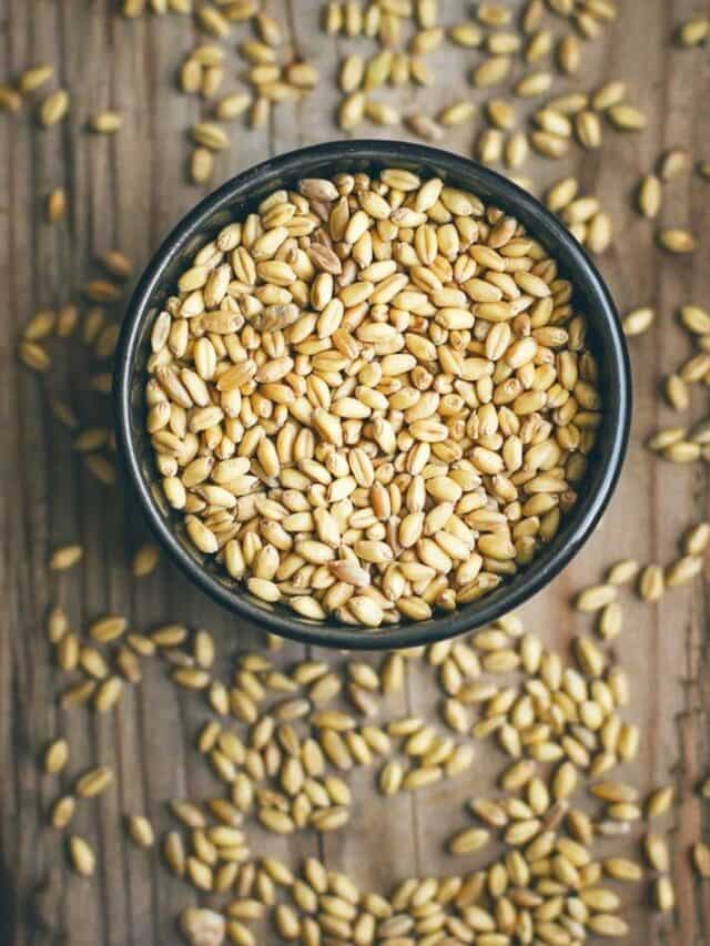 6 Tips To Cook And Store Barley Grains For Healthy Meals