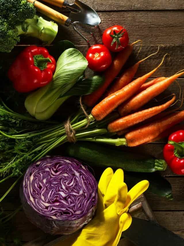 7 Simple Storage Tips To Stop Fresh Produce Going Bad