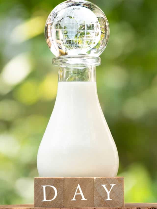 Reindeer To Horse, 10 Animals' Milk That Humans Drink