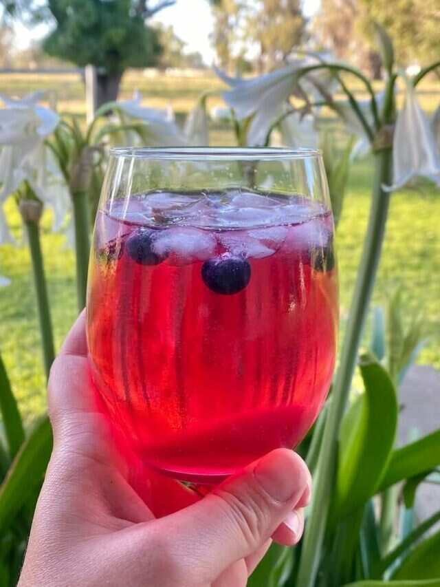 Blueberry Gin Fizz A Classic Addition To Your Summer Parties