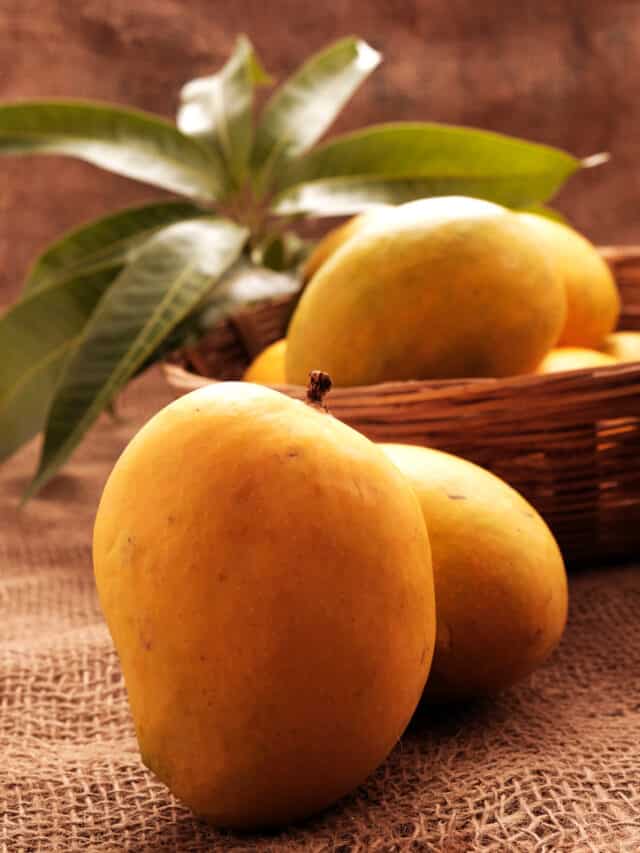 Buy The Ripest Mangoes, Follow This Buying Guide