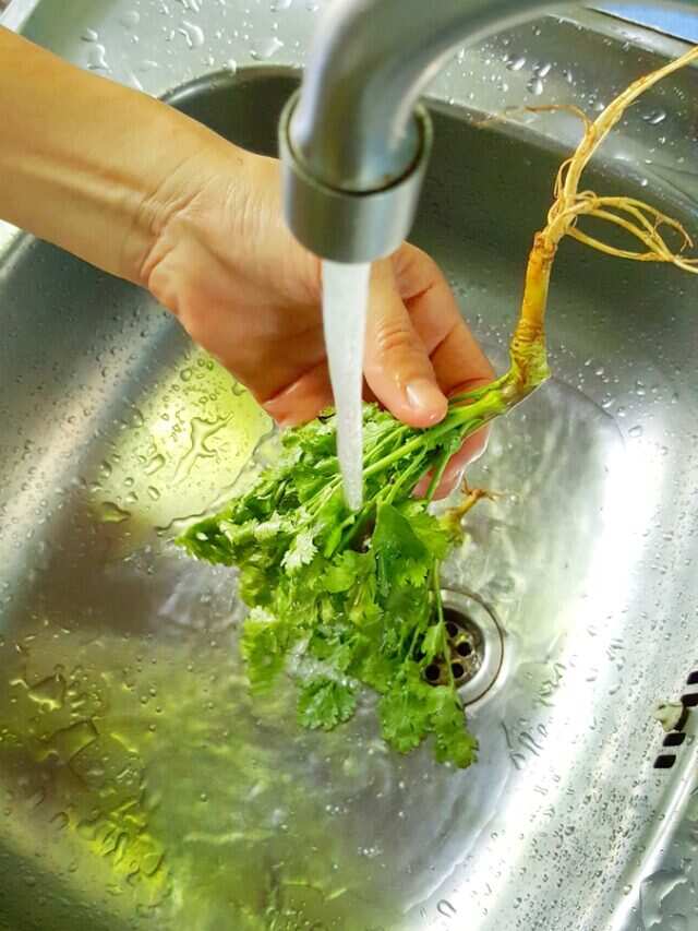 Washing to Storing Keep Herbs Fresh This Way