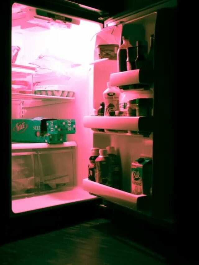 Foods Never Refrigerate: खाने की इन चीजों को फ्रिज में रखने की ना करें गलती, हेल्थ एक्सपर्ट्स बताते हैं ये नुकसान