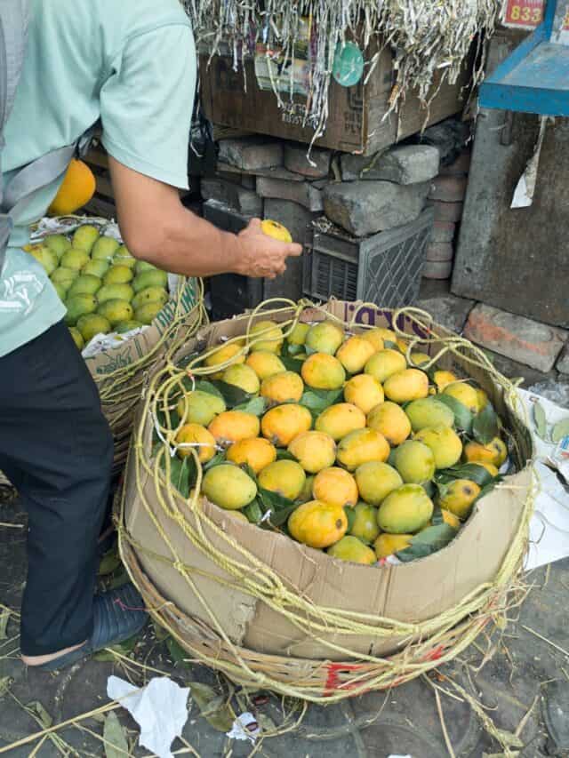 Know The Costliest Mango From India