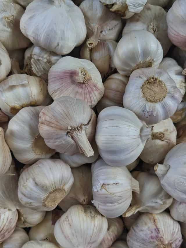 Know How Garlic Can Help In Losing Belly Fat