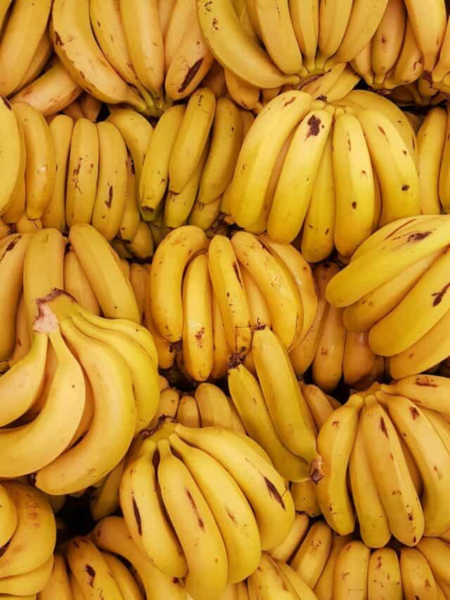 Top 7 Varieties Of Bananas In India