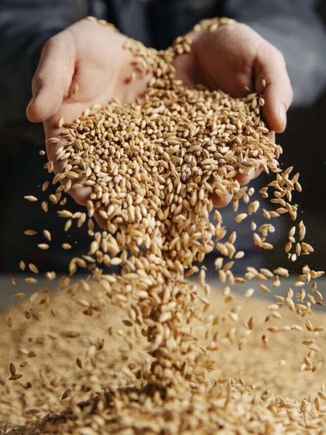 8 Reasons To Stock Up On Barley For Your Digestive Health