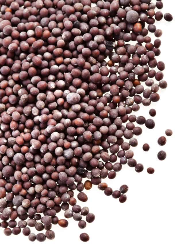 Short of Mustard Seeds? Discover 5 Alternatives for Tempering