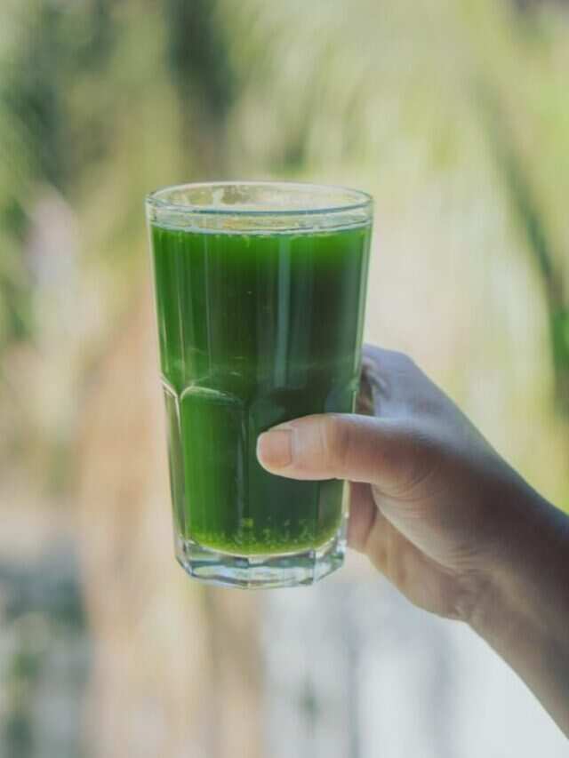 Immunity Booster To More Unlocking The 6 Health Benefits Of Wheatgrass