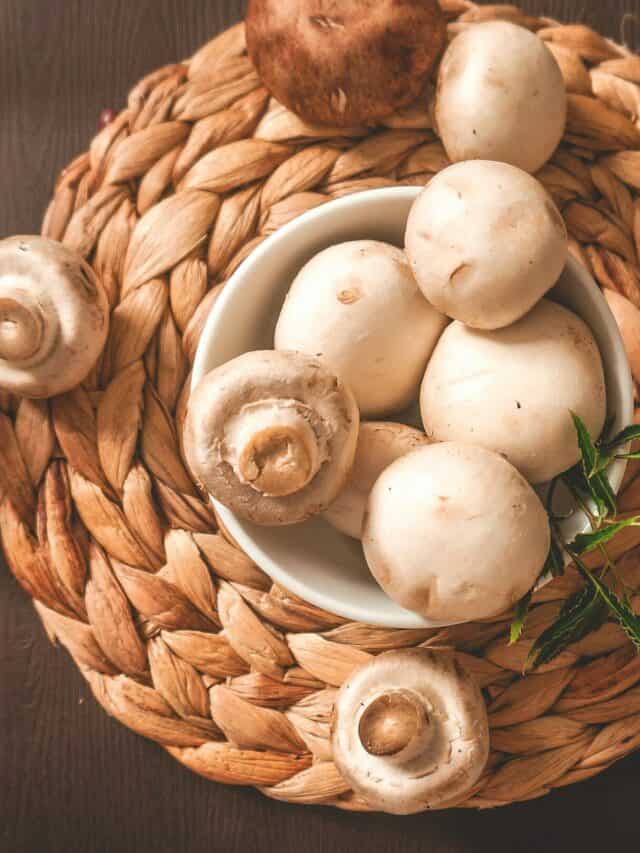 11 Edible And Exotic Mushrooms Found In India