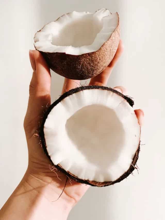 World Coconut Day 2023 6 Incredible Kitchen Uses Of This Versatile Fruit