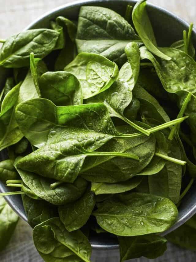 Smoothie To Dip 7 Creative And Delicious Ways To Include Greens In Your Diet