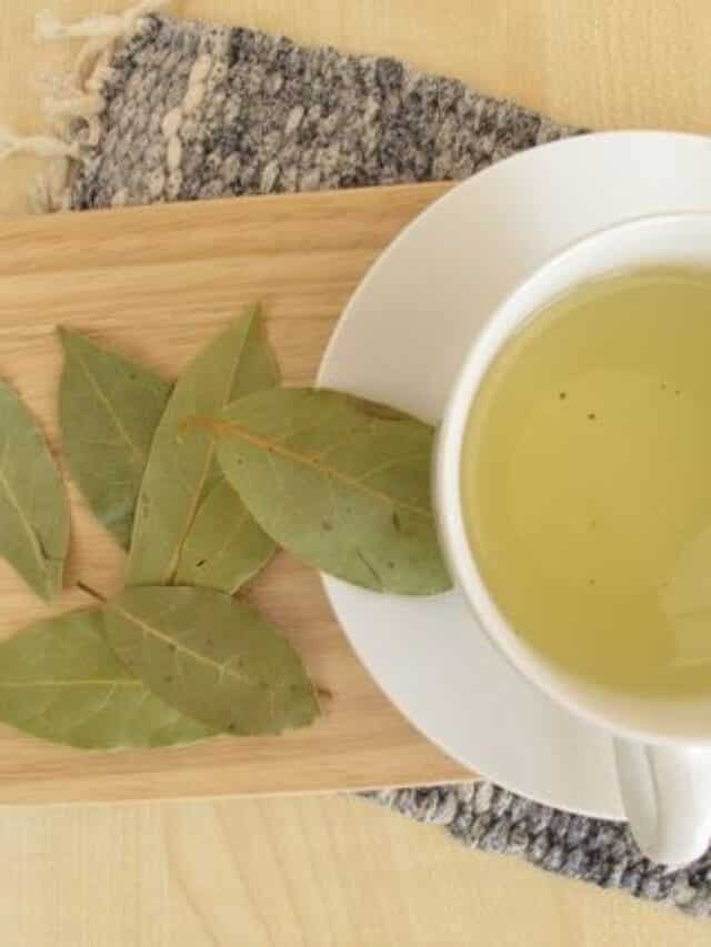 Unlocking The 5 Health Benefits Of Bay Leaf Tea