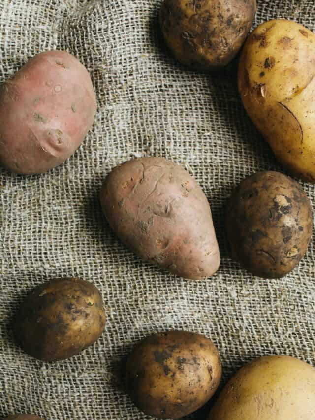 6 Tips to Store Potatoes For A Long Time