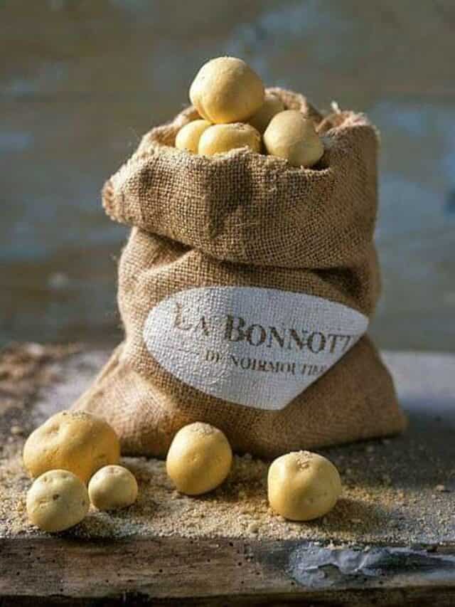 7 Most Expensive Vegetables In The World