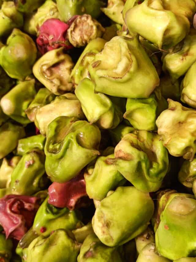 Enjoy Seasonal Singhare with These 5 Water Chestnut Recipes