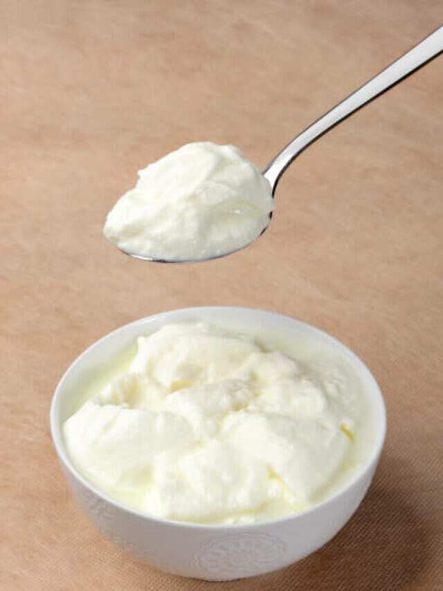 From Dahi Bhindi To Kadhi 9 Top YoghurtBased Indian Dishes