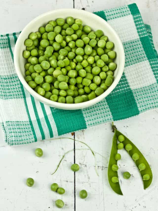 Sweet Pea To Chickpea 7 Different Types Of Peas