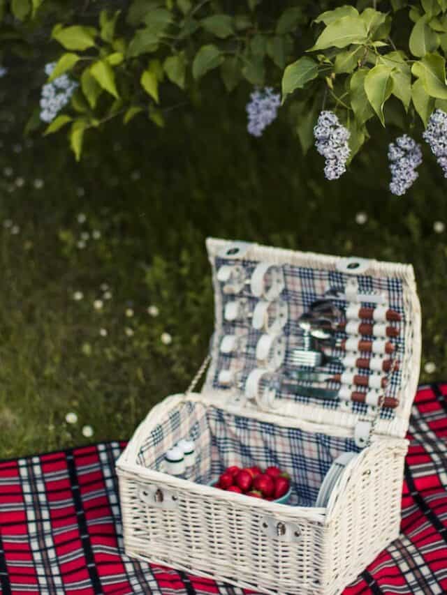 7 Homemade Picnic Snacks for Sunny Winter Days