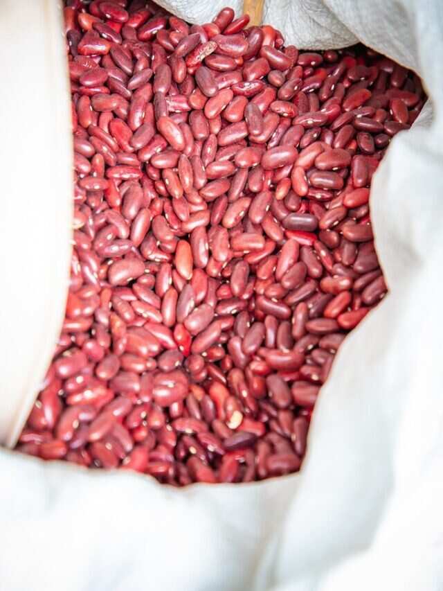 simple-ways-to-use-kidney-beans-in-your-meal