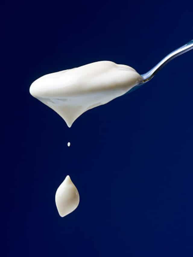 Yoghurt Vs. Curd 4 Key Differences Between The Two