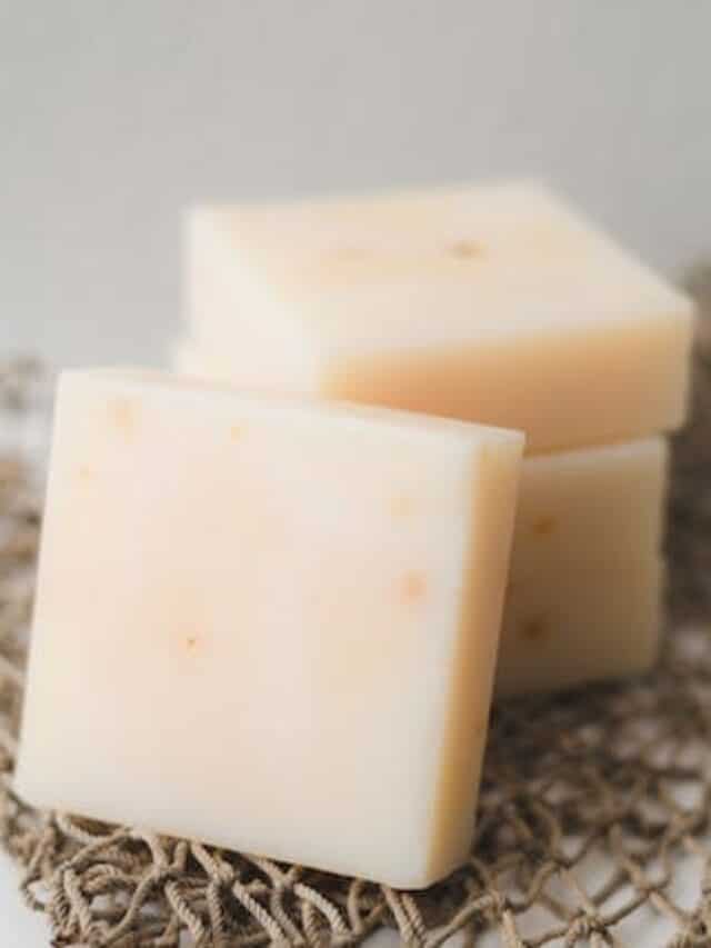 An Easy Guide To Make Cheese At Home